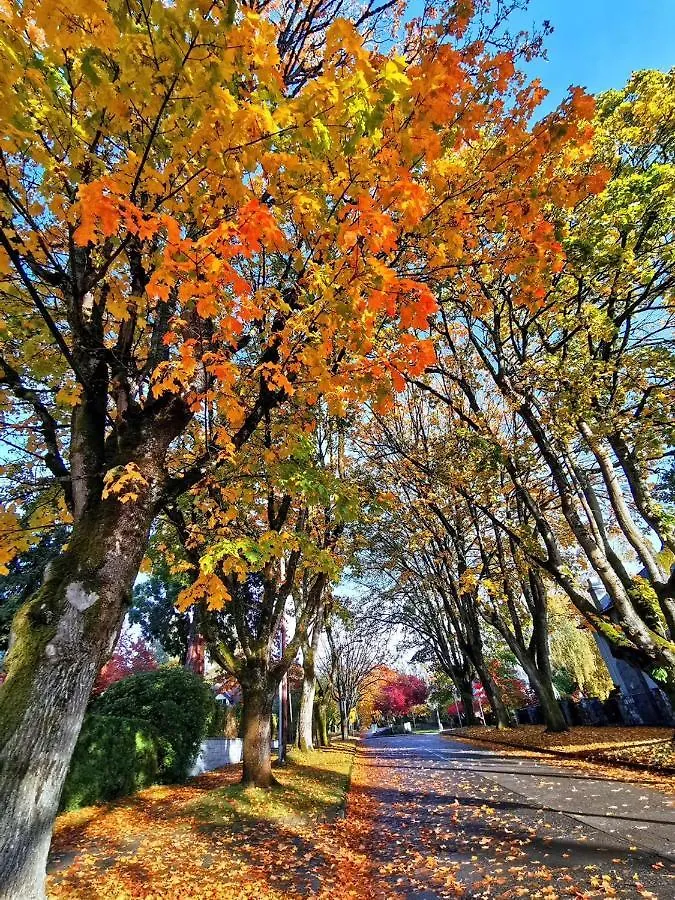 Dunbar Home Vancouver 0*,